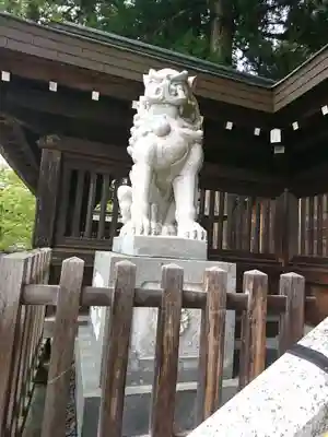 櫻山八幡宮の狛犬