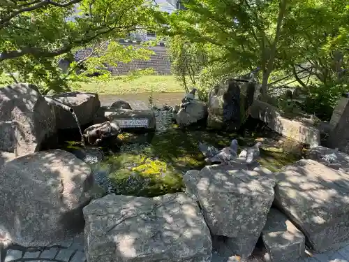四柱神社の{uncategorized: "未分類", other: "その他", undefined: "問題あり", building: "その他建物", grave: "お墓", sacred_gate: "鳥居", guardian: "狛犬", statue: "像", buddha: "仏像", history: "歴史", nature: "自然", garden: "庭園", animal: "動物", pagoda: "塔", temizu: "手水舎", mountain_gate: "山門・神門", sanctuary: "本殿・本堂", subordinate: "末社・摂社", art: "芸術", scenery: "景色", jizo: "地蔵", ema: "絵馬", goshuin: "御朱印", omikuji: "おみくじ", items: "授与品その他", amulet: "お守り", goshuincho: "御朱印帳", eats: "食事", festival: "お祭り", votive_dance: "神楽", shichigosan: "七五三参", wedding: "結婚式", experience: "体験その他", initially: "初詣", around: "周辺", anti_infection: "感染症対策"}