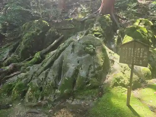 八大龍王社(滋賀県)