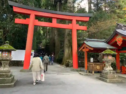 箱根神社の鳥居