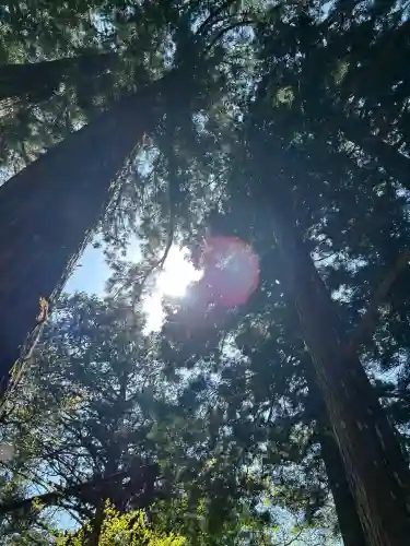玉置神社の{uncategorized: "未分類", other: "その他", undefined: "問題あり", building: "その他建物", grave: "お墓", sacred_gate: "鳥居", guardian: "狛犬", statue: "像", buddha: "仏像", history: "歴史", nature: "自然", garden: "庭園", animal: "動物", pagoda: "塔", temizu: "手水舎", mountain_gate: "山門・神門", sanctuary: "本殿・本堂", subordinate: "末社・摂社", art: "芸術", scenery: "景色", jizo: "地蔵", ema: "絵馬", goshuin: "御朱印", omikuji: "おみくじ", items: "授与品その他", amulet: "お守り", goshuincho: "御朱印帳", eats: "食事", festival: "お祭り", votive_dance: "神楽", shichigosan: "七五三参", wedding: "結婚式", experience: "体験その他", initially: "初詣", around: "周辺", anti_infection: "感染症対策"}