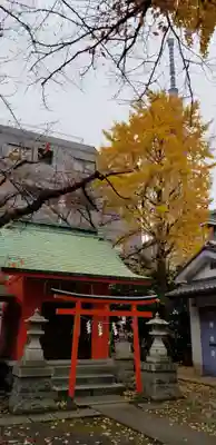 榎戸稲荷神社の鳥居