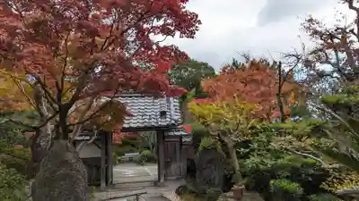 正法寺(京都府)