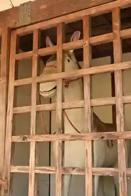 白人神社(徳島県)