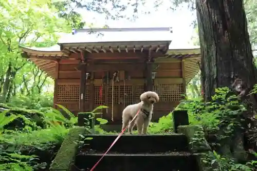 飯豊和気神社の動物
