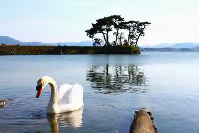 竜宮神社(島根県)