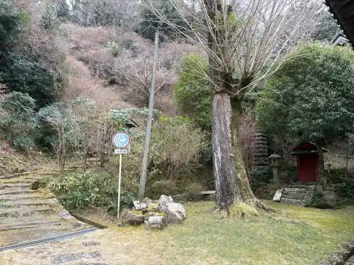 神童寺の{uncategorized: "未分類", other: "その他", undefined: "問題あり", building: "その他建物", grave: "お墓", sacred_gate: "鳥居", guardian: "狛犬", statue: "像", buddha: "仏像", history: "歴史", nature: "自然", garden: "庭園", animal: "動物", pagoda: "塔", temizu: "手水舎", mountain_gate: "山門・神門", sanctuary: "本殿・本堂", subordinate: "末社・摂社", art: "芸術", scenery: "景色", jizo: "地蔵", ema: "絵馬", goshuin: "御朱印", omikuji: "おみくじ", items: "授与品その他", amulet: "お守り", goshuincho: "御朱印帳", eats: "食事", festival: "お祭り", votive_dance: "神楽", shichigosan: "七五三参", wedding: "結婚式", experience: "体験その他", initially: "初詣", around: "周辺", anti_infection: "感染症対策"}