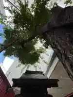 延壽稲荷神社(東京都)
