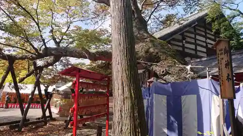 生島足島神社のその他建物