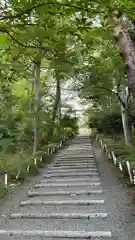 天津神明宮(千葉県)