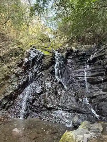 大本山七宝瀧寺の{uncategorized: "未分類", other: "その他", undefined: "問題あり", building: "その他建物", grave: "お墓", sacred_gate: "鳥居", guardian: "狛犬", statue: "像", buddha: "仏像", history: "歴史", nature: "自然", garden: "庭園", animal: "動物", pagoda: "塔", temizu: "手水舎", mountain_gate: "山門・神門", sanctuary: "本殿・本堂", subordinate: "末社・摂社", art: "芸術", scenery: "景色", jizo: "地蔵", ema: "絵馬", goshuin: "御朱印", omikuji: "おみくじ", items: "授与品その他", amulet: "お守り", goshuincho: "御朱印帳", eats: "食事", festival: "お祭り", votive_dance: "神楽", shichigosan: "七五三参", wedding: "結婚式", experience: "体験その他", initially: "初詣", around: "周辺", anti_infection: "感染症対策"}
