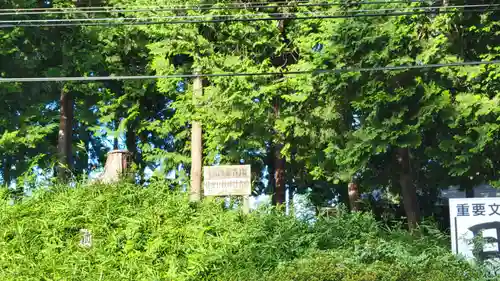 仙波氷川神社の周辺
