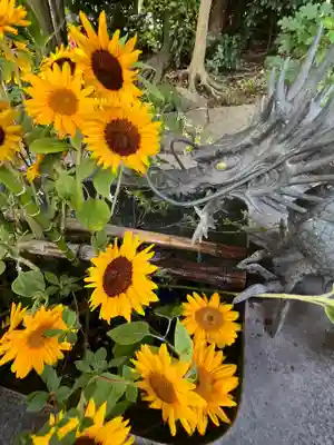 東海市熊野神社の手水舎