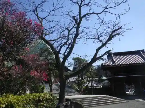 本覚寺の景色