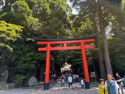 霧島神宮(鹿児島県)