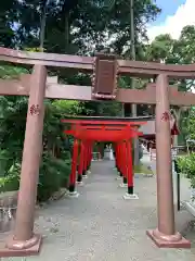 亀ケ池八幡宮の鳥居