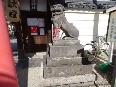 御霊神社の狛犬