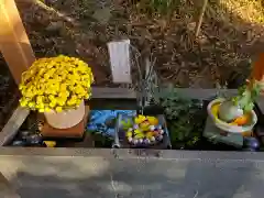 下野 星宮神社(栃木県)