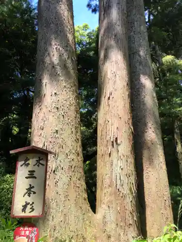 笠森寺(千葉県)