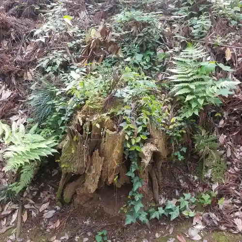 香取神社の自然
