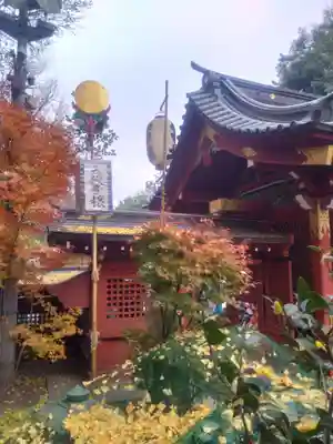 秩父神社(埼玉県)