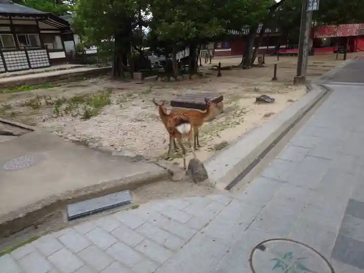 厳島神社(広島県)