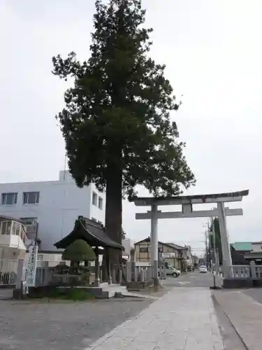 鹿沼今宮神社(栃木県)