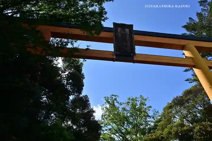 川越氷川神社(埼玉県)