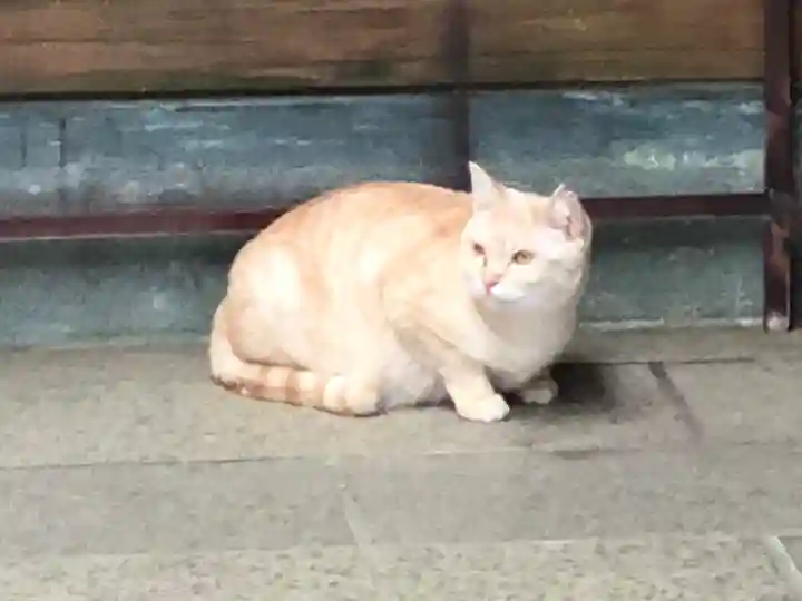 王子神社の動物
