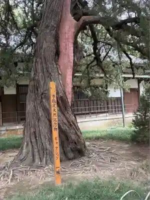 円覚寺(神奈川県)