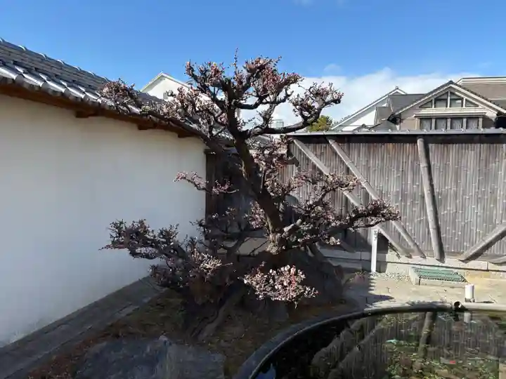 金剛院(兵庫県)