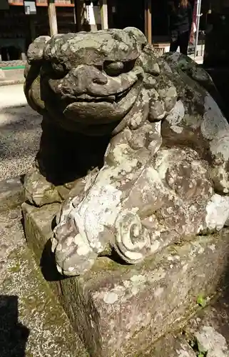 新田神社の狛犬