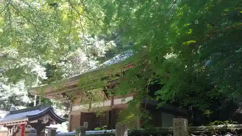 狸谷山不動院のその他建物