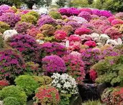 根津神社の自然