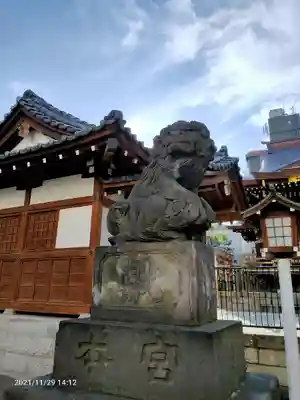大鳥神社の狛犬