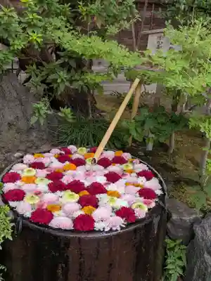 心行寺(東京都)