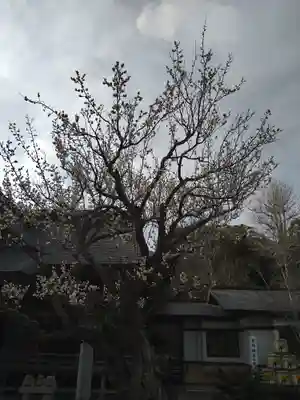 大洗磯前神社(茨城県)
