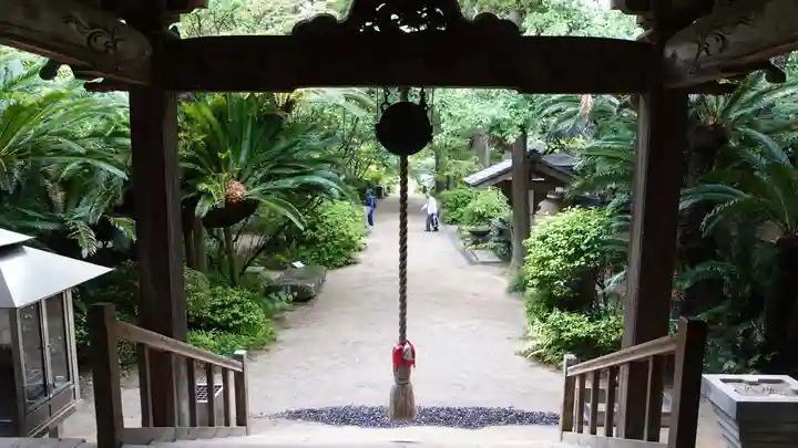 浄瑠璃寺(愛媛県)