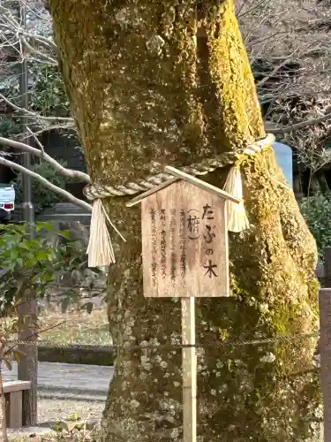 橿森神社の{uncategorized: "未分類", other: "その他", undefined: "問題あり", building: "その他建物", grave: "お墓", sacred_gate: "鳥居", guardian: "狛犬", statue: "像", buddha: "仏像", history: "歴史", nature: "自然", garden: "庭園", animal: "動物", pagoda: "塔", temizu: "手水舎", mountain_gate: "山門・神門", sanctuary: "本殿・本堂", subordinate: "末社・摂社", art: "芸術", scenery: "景色", jizo: "地蔵", ema: "絵馬", goshuin: "御朱印", omikuji: "おみくじ", items: "授与品その他", amulet: "お守り", goshuincho: "御朱印帳", eats: "食事", festival: "お祭り", votive_dance: "神楽", shichigosan: "七五三参", wedding: "結婚式", experience: "体験その他", initially: "初詣", around: "周辺", anti_infection: "感染症対策"}