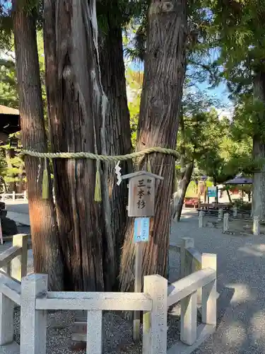 建部大社(滋賀県)