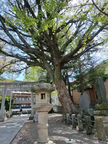 本町南町八幡神社(東京都)