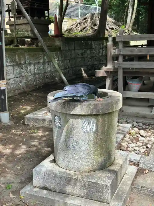 松が丘北野神社(東京都)