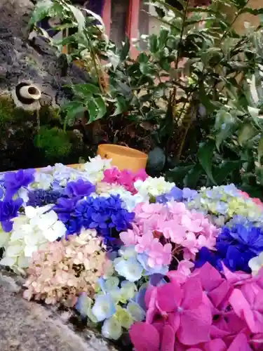本郷氷川神社(東京都)