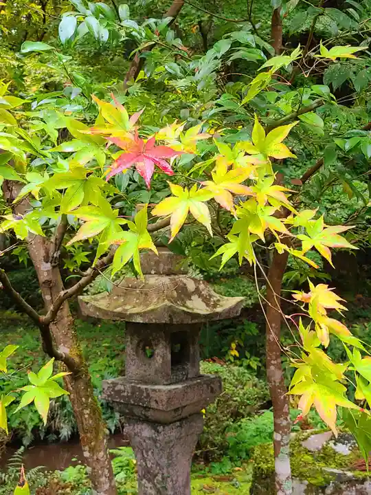 粟鹿神社(兵庫県)