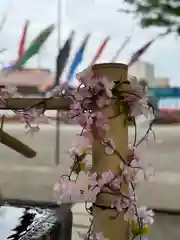 相模原氷川神社の建物その他