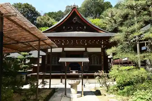 岡寺（龍蓋寺）(奈良県)