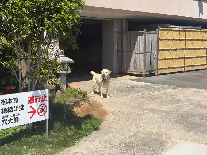 舘山寺の{uncategorized: "未分類", other: "その他", undefined: "問題あり", building: "その他建物", grave: "お墓", sacred_gate: "鳥居", guardian: "狛犬", statue: "像", buddha: "仏像", history: "歴史", nature: "自然", garden: "庭園", animal: "動物", pagoda: "塔", temizu: "手水舎", mountain_gate: "山門・神門", sanctuary: "本殿・本堂", subordinate: "末社・摂社", art: "芸術", scenery: "景色", jizo: "地蔵", ema: "絵馬", goshuin: "御朱印", omikuji: "おみくじ", items: "授与品その他", amulet: "お守り", goshuincho: "御朱印帳", eats: "食事", festival: "お祭り", votive_dance: "神楽", shichigosan: "七五三参", wedding: "結婚式", experience: "体験その他", initially: "初詣", around: "周辺", anti_infection: "感染症対策"}