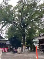 田無神社(東京都)