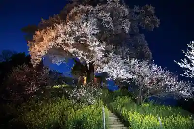 天神さまの祠の自然