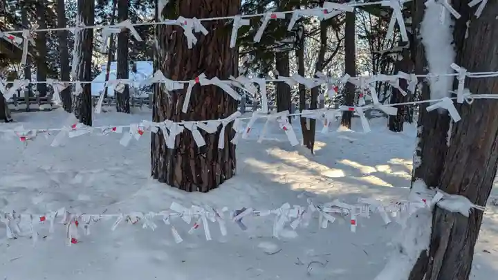 上川神社のおみくじ